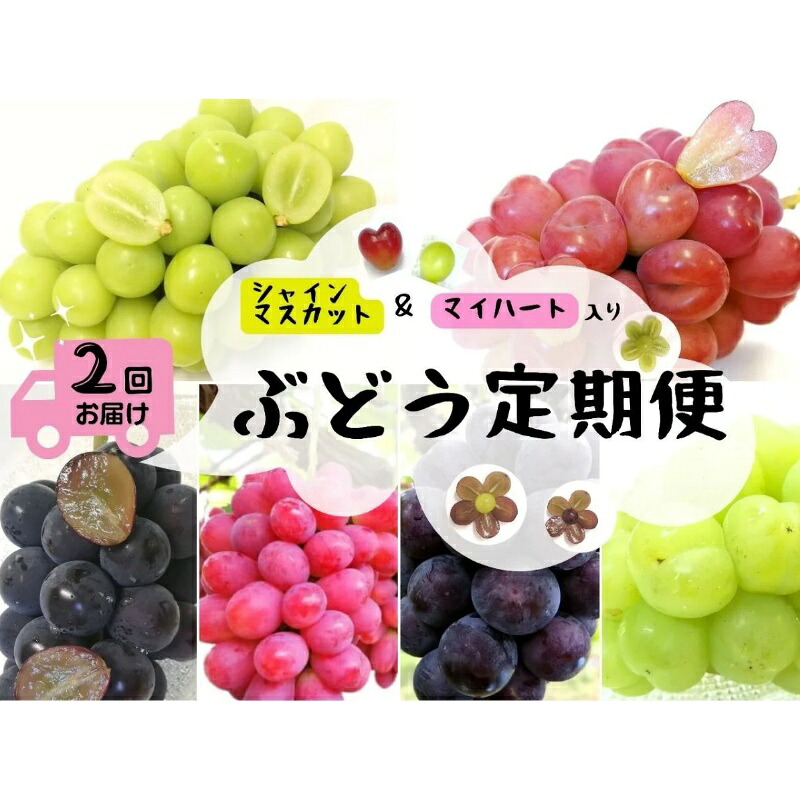 【ふるさと納税】 ※2026年の予約です！※ 【産地直送】岡山シャインマスカット＆マイハート入り！新鮮ぶどう定期便 ２.４ｋｇ(４～６房) ２回に分けてお届け！ / ブドウ 葡萄 マスカット マイハート ピオーネ サニードルチェ 瀬戸ジャイアンツ 贈答 果物 人気 数量限定