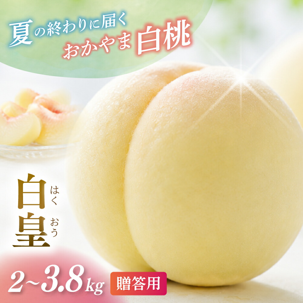 【ふるさと納税】 岡山県産 白皇 2kg 3.8kg 化粧箱入り・贈答用 高級 白皇 はくおう 花田青果【2026年 先行予約 8月中旬～9月初旬まで順次発送予定】桃 もも モモ 果物フルーツ 岡山県 数量限定 くだもの 期間限定 産地直送 白桃 送料無料 約3kg お取り寄せ｜岡山県真庭市
