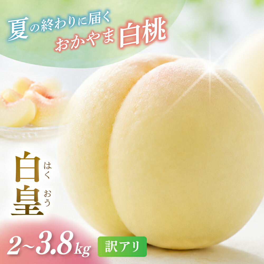 【ふるさと納税】 岡山県産 白皇 2kg 3.8kg 訳アリ 白皇 はくおう 【2026年 先行予約 8月中旬~9月初旬まで順次発送予定】 桃 もも モモ 果物フルーツ 訳あり品 岡山県 数量限定 くだもの 期間限定 産地直送 白桃 送料無料 約3kg お取り寄せ|岡山県真庭市
