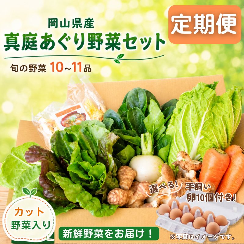 【ふるさと納税】【定期便】真庭あぐり野菜セットカット野菜が1品入る 10～11品 平飼い卵付き / 詰め合わせ 産地直送 岡山県 真庭市 新鮮 あぐりガーデン 産直工房 国産【配送不可地域：北海道／沖縄県／離島】｜岡山県真庭市
