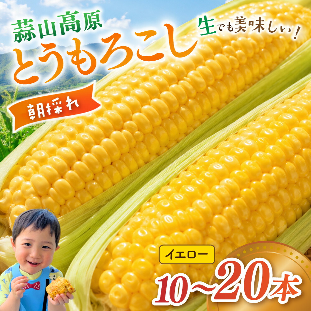 【ふるさと納税】 蒜山高原 とうもろこし イエロー 10本 20本 / 甘い 岡山県 真庭市 高糖度 夏野菜 ギフト 人気 朝採れ 新鮮 スイートコーン 2026年先行予約 7月 8月 トウモロコシ 産地直送 数量限定 【配送不可地域:北海道/沖縄県/離島】【corn1】|岡山県真庭市