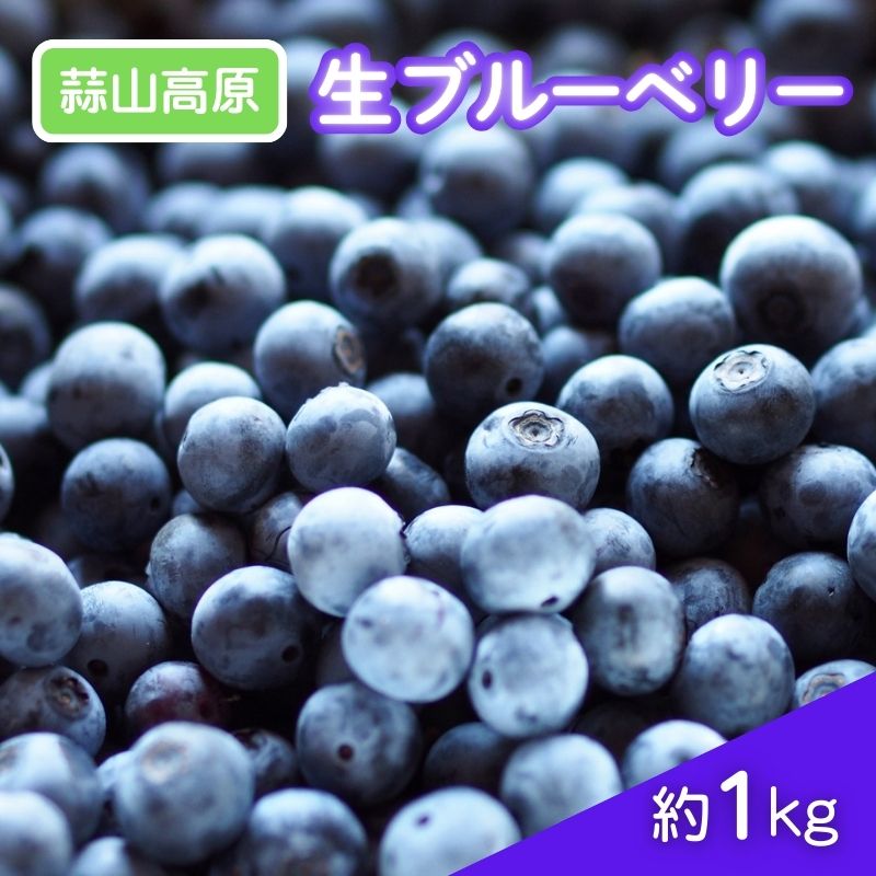 【ふるさと納税】 【2026年先行予約】蒜山高原 生ブルーベリー 1kg / 国産 ブルーベリー フルーツ 新鮮 果物 産直 産地直送 数量限定 岡山県 真庭市 蒜山
