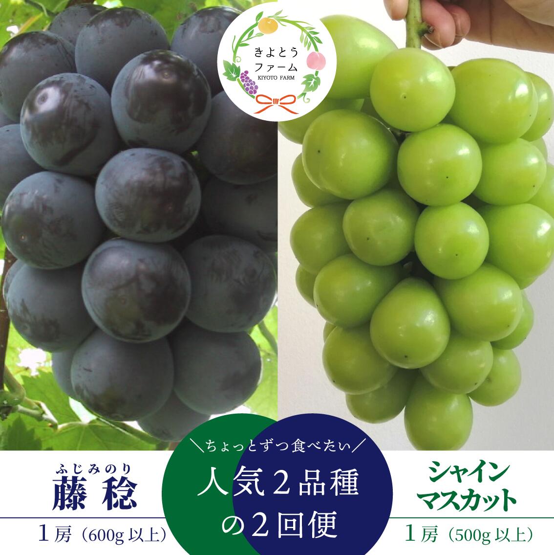【ふるさと納税】 【2026年先行予約】ちょっとずつ食べたい！藤稔とシャインマスカットの１房お試し２回便！ (定期便)(岡山県産) 【配送不可地域：離島】【KF-T043-02】
