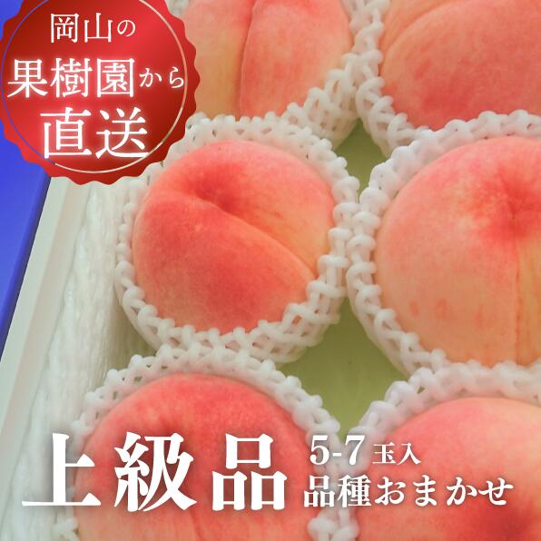 【ふるさと納税】 旬採り桃(品種おまかせ) 上級品 5-7玉 (岡山県産) 【配送不可地域:離島】 | フルーツ王国おかやまの「旬の桃」を産地直送でお届け! もも 桃 先行予約 フルーツ 果物 もも 真庭市 フルーツ王国 きよとう果樹園 桃 ふるさと納税 岡山【KF-A002-04】|岡山県真庭市
