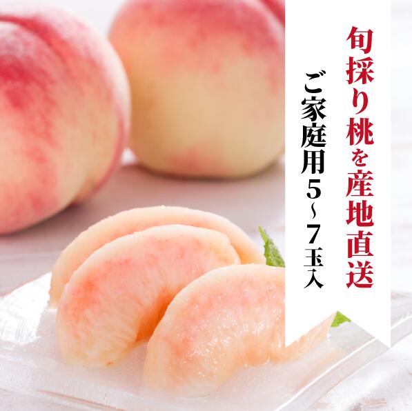 【ふるさと納税】桃 ご家庭用 5-7玉 岡山県産 品種おまかせ 旬取り 真庭市 / フルーツ 果物 先行予約 桃 もも モモ 数量限定 送料無料 産地直送 期間限定 白桃 川中島白桃 くだもの あかつき 昂紀 夏かんろ あかつき 美月 さくら白桃 おどろき 桃水 西王母|岡山県真庭市