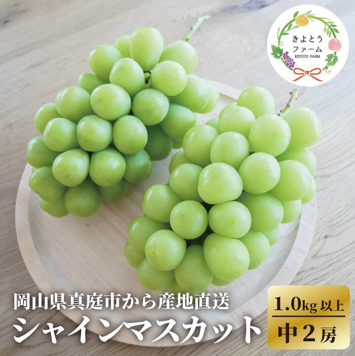 【ふるさと納税】 【食べ切りサイズ】 シャインマスカット 中2房/計1.0kg～ (岡山県産) / ぶどう ブドウ 葡萄 岡山 シャインマスカット 果物 真庭市【配送不可地域：離島】【KF-B078-03】｜岡山県真庭市