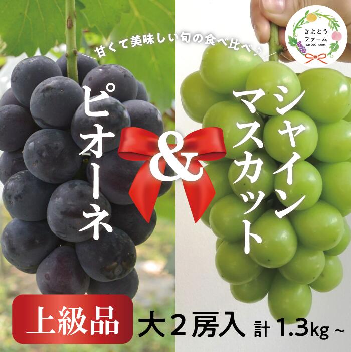 【ふるさと納税】 ピオーネ＆シャインマスカット 上級品 特大2房 /計1.3kg～ 【2026年 先行予約 9月以降順次発送予定（お届け指定日不可）】【配送不可地域：離島】 【KF-B087-02】ぶどう 葡萄 先行予約 種なし ご家庭用 ぶどう ブドウ 葡萄 送料無料 数量限定 期間限定｜岡山県真庭市