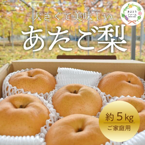 【ふるさと納税】 あたご梨 ご家庭用 / 約5kg (岡山県産) 【2026年先行予約】 【2026年11月以降より順次発送予定】 【KF-C008-03】 / あたご梨 愛宕梨 梨 果物 くだもの フルーツ ご家庭用 きよとう果樹園 フルーツ王国 岡山県産｜岡山県真庭市