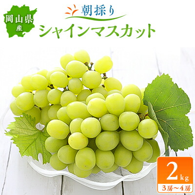 【ふるさと納税】【2025年先行予約】朝採りシャインマスカット2kg(3房～4房)【配送不可地域：離島】【1119807】