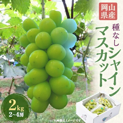 【ふるさと納税】岡山県産シャインマスカット2kg(2～4房)_ シャインマスカット ぶどう ブドウ 葡萄 フルーツ 果物 岡山県 先行予約 家庭用 ギフト 人気 美味しい 【配送不可地域：離島】【1112965】 13,870円