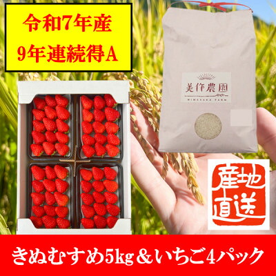 【ふるさと納税】【令和7年産】精米　きぬむすめ5kg&いちご詰合せ(約280g×4パック)【配送不可地域：離島・北海道・沖縄県】【1676471】