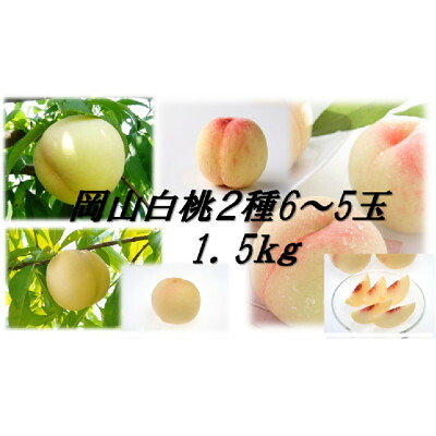 【ふるさと納税】岡山白桃食べ比べ　晩生種2種5～6玉【配送不可地域：離島】【1684889】｜岡山県美作市