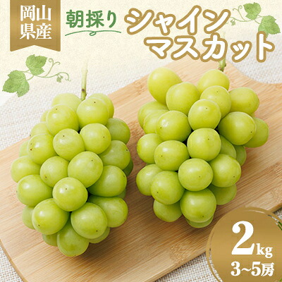 【ふるさと納税】岡山県産　朝採りシャインマスカット　2kg【配送不可地域：離島】【1073053】
