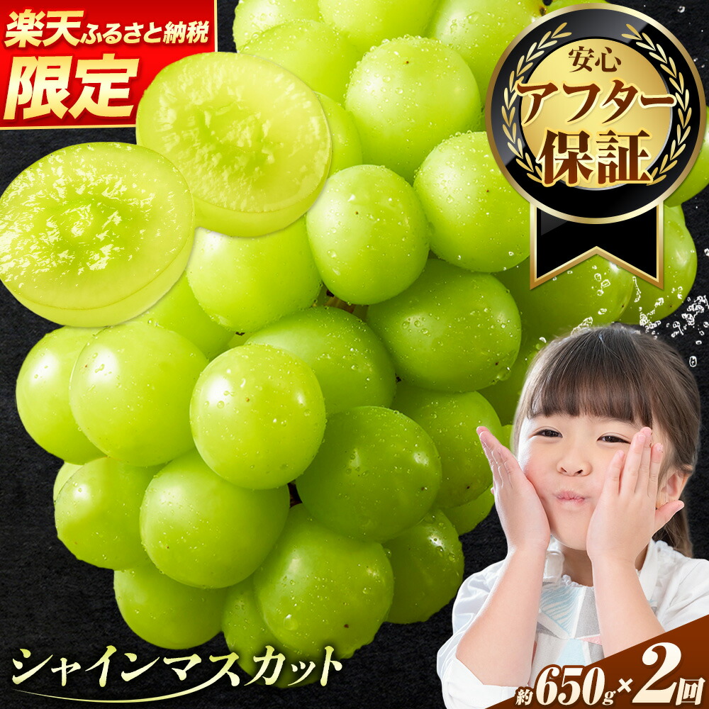 【ふるさと納税】 厳選 シャインマスカット 選べる容量 約650g~2kg or 1.3kg&times;2回定期便《2026年9月上旬-11月上旬頃に出荷》マスカット 送料無料 岡山県 浅口市 ぶどう フルーツ 果物｜岡山県浅口市
