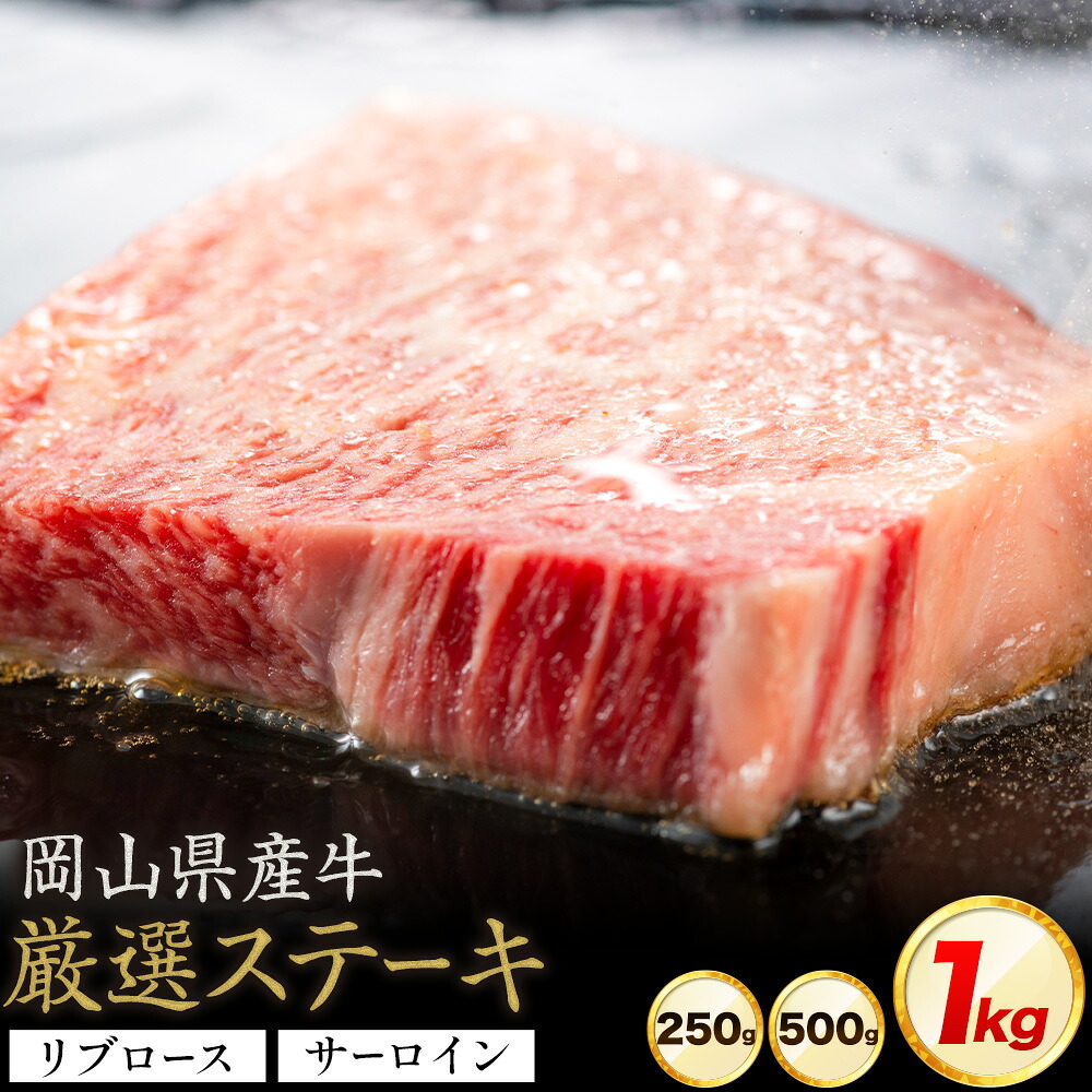 【ふるさと納税】岡山県産牛 ステーキ サーロイン or リブ 交雑牛 選べる 250g 500g 1kg お試し 大容量《60日以内に出荷予定(土日祝除く)》 岡山県 浅口市 肉 ステーキ 送料無料