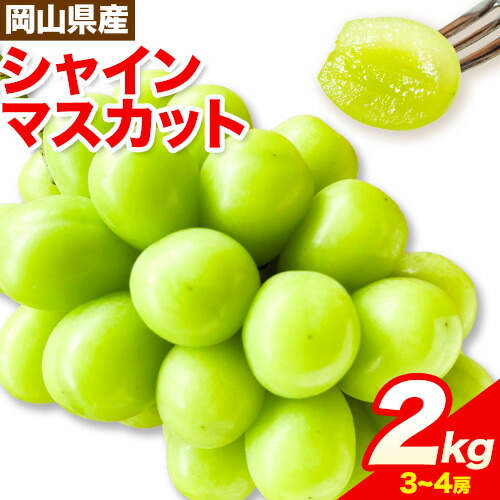 【ふるさと納税】【2026年先行予約】シャインマスカット 岡山県産 2kg 3房 ~ 4房《2026年9月上旬-9月中旬頃出荷》ひらた農園 マスカット 送料無料 岡山県 浅口市 シャインマスカット ぶどう フルーツ 果物 贈り物 ギフト 国産 くだもの 果物 青果物｜岡山県浅口市
