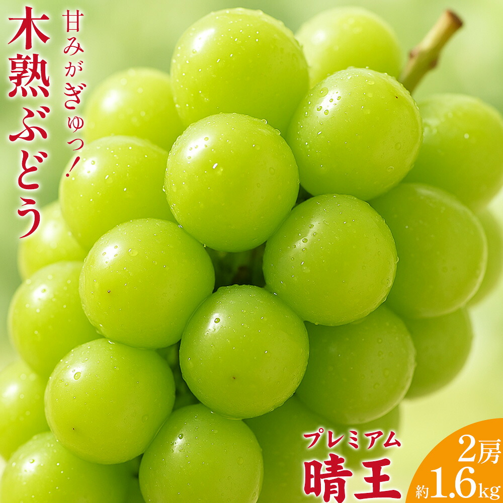 【ふるさと納税】木熟ぶどう 晴王 船穂産 赤秀 2房 1.6kg以上 ハレノフルーツ《9月上旬-10月末頃出荷》岡山県 浅口市 シャインマスカット フルーツ 果物 デザート【配送不可地域あり】｜岡山県浅口市