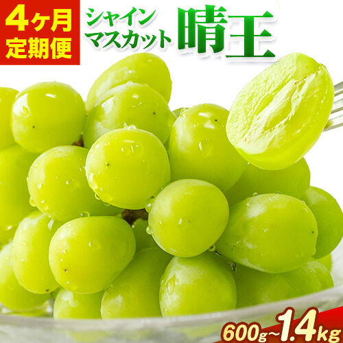 【ふるさと納税】【4ヶ月定期便】ぶどう シャインマスカット 晴王 600g 700g 1.2kg 1.4kg 1房 2房 マスカット岡山《2026年7月上旬-10月末頃出荷》岡山県 浅口市 送料無料 フルーツ 果物 マスカット お取り寄せフルーツ【配送不可地域あり】 48,000円