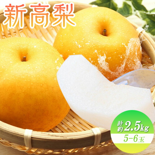 【ふるさと納税】 新高梨 5～6玉計約2.5kg 環山堂株式会社《2025年10月上旬-11月中旬頃出荷》岡山県 浅口市 梨 新高梨 にいたかなし 果物 フルーツ 送料無料【配送不可地域あり】