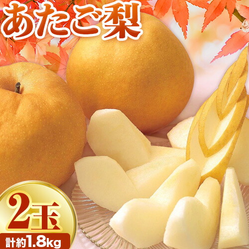 【ふるさと納税】【2025年先行予約】あたご梨 2玉 計約1.8kg 環山堂株式会社《2025年11月下旬-12月下旬頃より発送予定》岡山県 浅口市 梨 なし 和梨 果物 フルーツ 送料無料