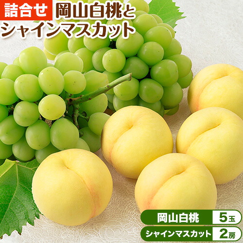 【ふるさと納税】【2026年先行予約】岡山白桃 と シャインマスカット 詰合せ 5玉 約1.5kg 2房 計約1.2kg 環山堂株式会社《2026年7月中旬-8月上旬頃より発送予定》岡山県 浅口市 桃 マスカット ぶどう 詰め合わせ 果物 送料無料