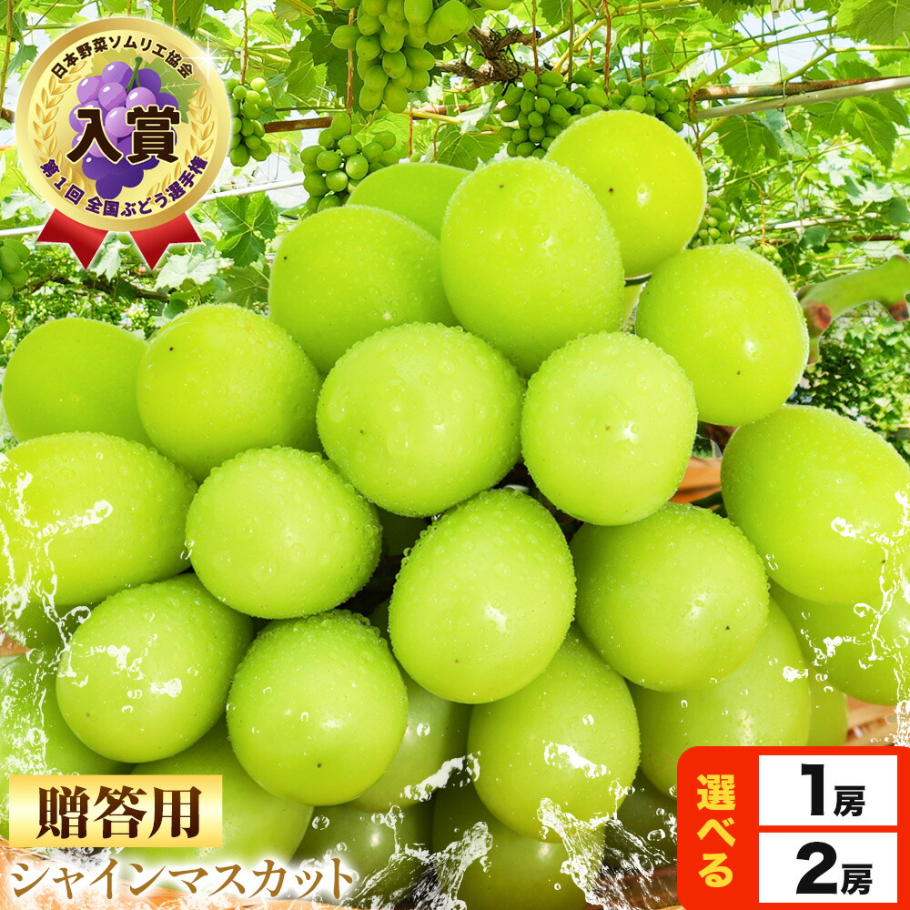 【ふるさと納税】贈答クラス シャイン マスカット 選べる 1房 (700g以上) 2房 (合計1.3kg以上) OEC KINGDOMぶどう家 《8月下旬-10月中旬頃出荷(土日祝除く)》岡山県 浅口市 ぶどう 果物【配送不可地域あり】（離島）画像