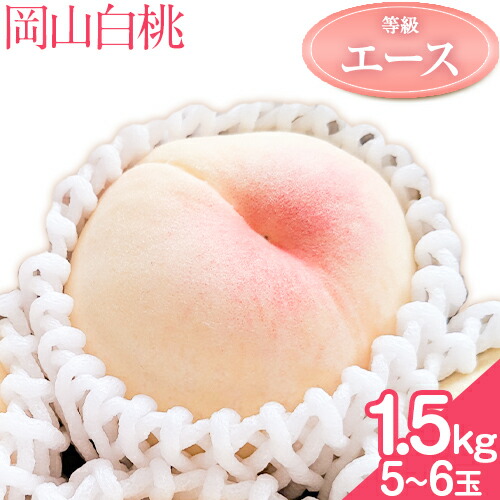【ふるさと納税】【2025年出荷先行予約】岡山の白桃 等級 エース 約1.5kg(5～6玉) 清水白桃 おかやま夢白桃 白鳳 白麗 なつおとめ 晴れの国 岡山農業協同組合 鴨方支店 《7月上旬-8月下旬頃出荷》岡山県 浅口市 白桃 桃 もも モモ 果物 フルーツ  【配送不可地域あり】