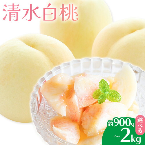 【ふるさと納税】【2026年先行予約】清水白桃 選べる内容量 約900g 約1.5kg 約2kg もも モモ 岡山 国産 フルーツ 果物 桃茂實苑《2026年7月中旬-8月上旬頃出荷》岡山県 浅口市 フルーツ モモ 果物 青果 旬 白桃 国産 岡山県産【配送不可地域あり】｜岡山県浅口市
