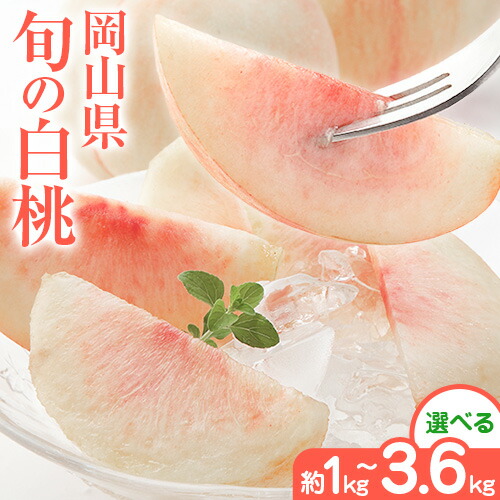 【ふるさと納税】岡山県の旬の白桃 選べる 約1kg 約2kg 約3.6kg【配送不可地域あり】 花田青果株式会社《6月下旬-8月下旬頃出荷予定(土日祝除く)》ふるさと納税 桃 白鳳 桃 岡山 もも ふるさと納税 桃 おすすめ 桃 美味しい 桃 2026 桃 おどろき ふるさと納税 桃 岡山|岡山県浅口市