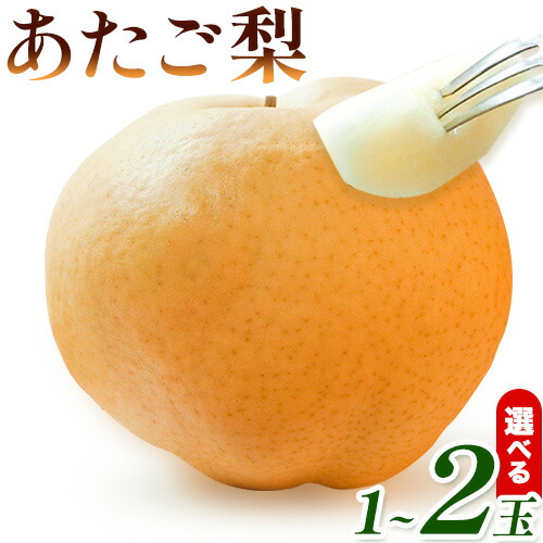 【ふるさと納税】【先行予約】梨 あたご梨 選べる 1玉(約1kg) or 2玉(約1.6kg) 株式会社藍《2025年11月下旬-12月下旬頃出荷》 岡山県 浅口市 岡山県産 なし フルーツ 果物 くだもの ナシ 大玉 送料無料
