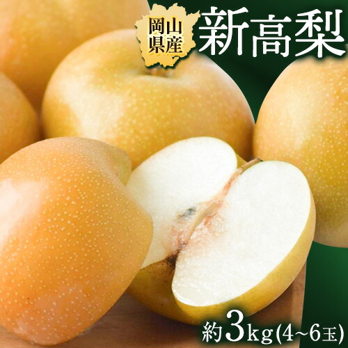 【ふるさと納税】梨 岡山県産 新高梨 約3kg ( 4~6玉 ) 【配送不可地域あり】 株式会社藍《10月中旬-11月中旬頃出荷》 岡山県 浅口市 岡山県産 なし フルーツ 果物 くだもの ナシ 大玉 新高 送料無料