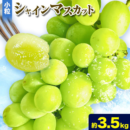 【ふるさと納税】小粒 シャインマスカット 9-11房 約3.5kg タンポポ農園《2026年9月上旬-10月下旬頃出荷》送料無料 岡山県 浅口市 フルーツ マスカット ぶどう 果物 贈り物 秋 冷蔵