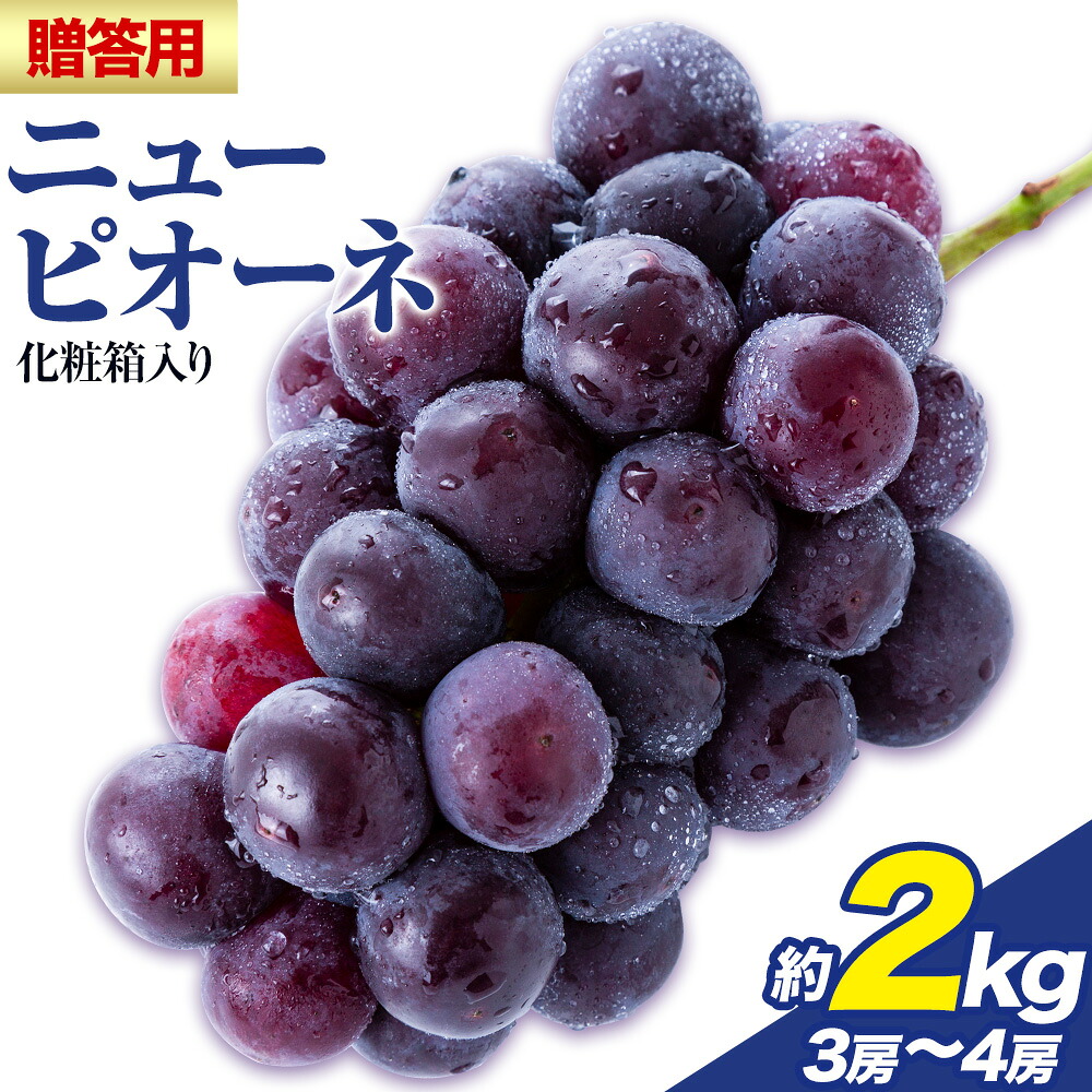 【ふるさと納税】贈答用 フルーツ王国 岡山県産 ニューピオーネ 化粧箱入り 3房 ～ 4房 2kg【先行予約】 Lino ＆ Kai Farm《2026年9月中旬-10月中旬頃出荷》ピオーネ 送料無料 岡山県 浅口市 ギフト ニューピオーネ 岡山 ぶどう フルーツ 果物｜岡山県浅口市