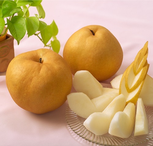 【ふるさと納税】【令和7年発送】岡山県産　あたご梨　2玉（約1.8kg）AC-28