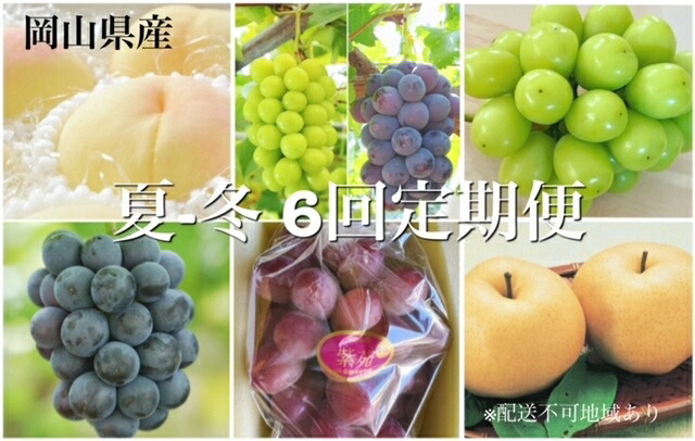 【ふるさと納税】【令和7年発送・先行予約】岡山県産　晴れの国岡山フルーツ7月8月9月10月11月12月定期便6回　化粧箱入りB（岡山県 和気町 白桃 ピオーネ ニューピオーネ シャインマスカット 紫苑 あたご梨）PP-58　※北海道・沖縄県・離島への配送はできません。