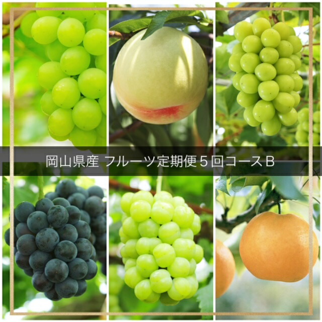 【ふるさと納税】【令和7年発送・先行予約】フルーツ定期便５回コースB（岡山県 和気町 マスカット・オブ・アレキサンドリア 白桃 ピオーネ ニューピオーネ 瀬戸ジャイアンツ シャインマスカット あたご梨）eq-4　※北海道・沖縄県・離島への配送はできません。
