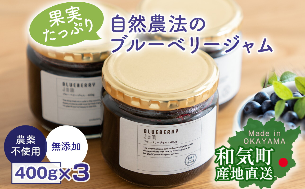 【ふるさと納税】　果実たっぷり自然農法のブルーベリージャム　400g×3　ZZ-17