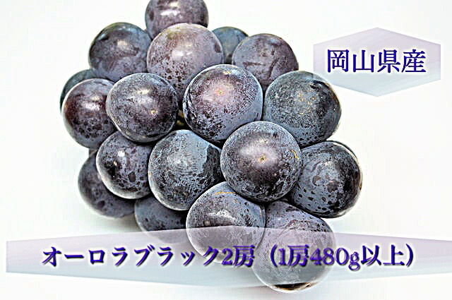 【ふるさと納税】【令和8年発送・先行予約】岡山県産 オーロラブラック2房（1房480g以上）化粧箱入り BS-20｜岡山県和気町 13,260円