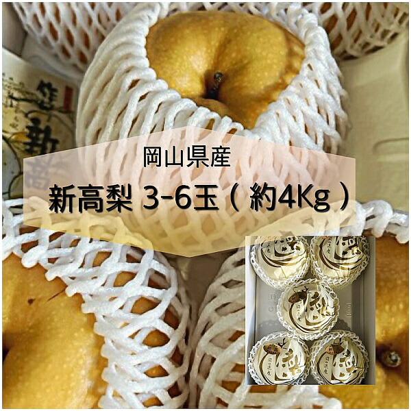 【ふるさと納税】【令和7年発送・先行予約】岡山県産 新高梨 3-6玉（約4kg） 化粧箱入り　Cz-10