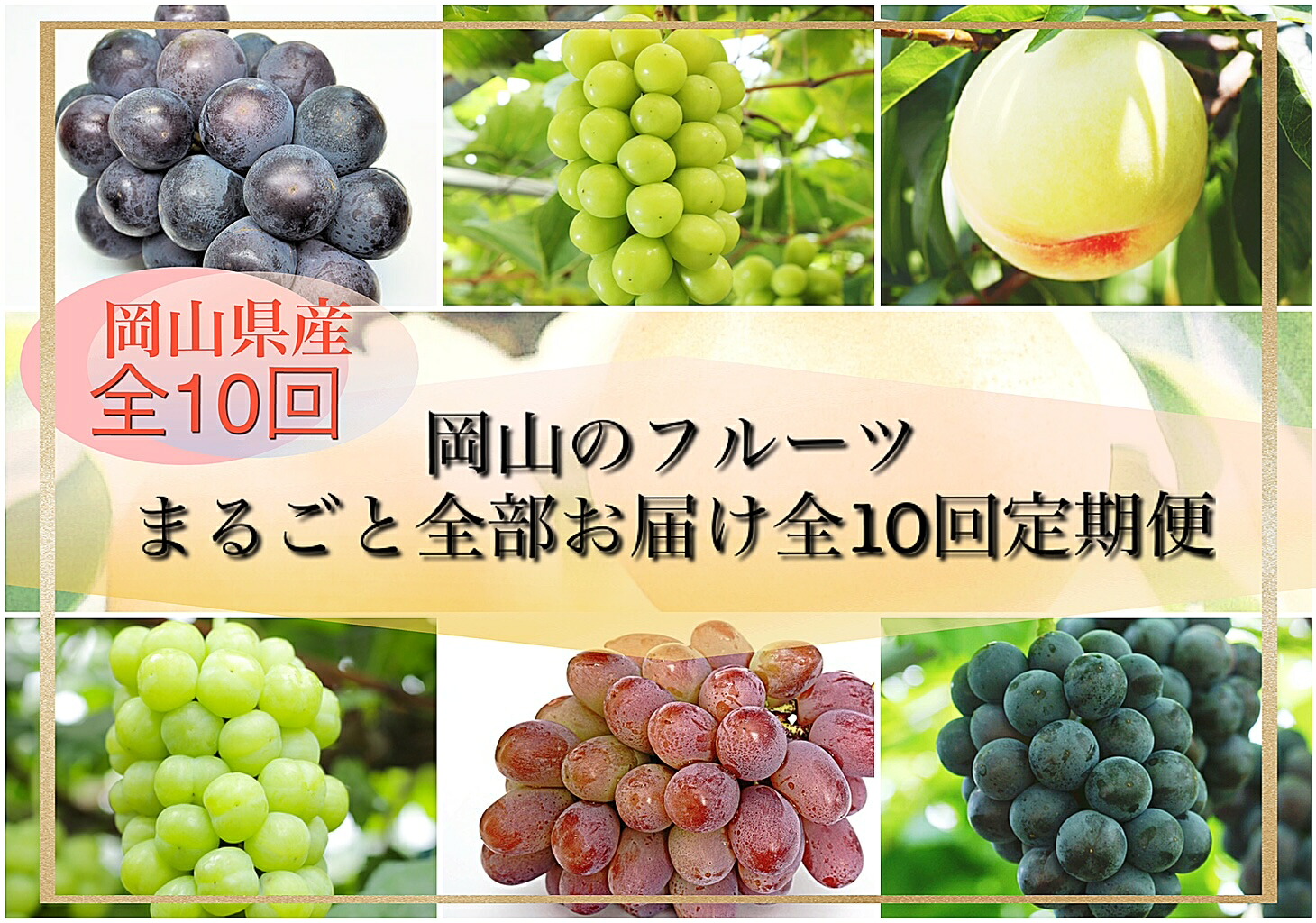 【ふるさと納税】【令和8年発送・先行予約】岡山のフルーツまるごと全部お届け全10回定期便　Bm-1