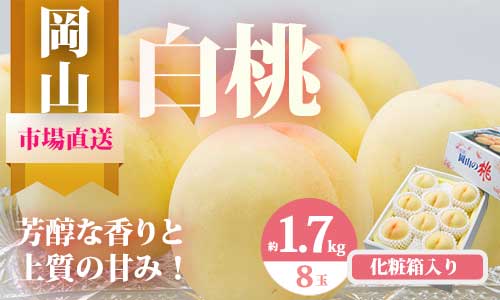 【ふるさと納税】【令和8年発送・先行予約】岡山県産　白桃8玉（合計1.7kg以上）　化粧箱入り　Do-1　※北海道・沖縄県・離島への配送はできません。｜岡山県和気町