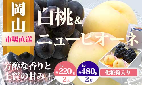 【ふるさと納税】【令和8年発送・先行予約】岡山県産　詰合/白桃（1玉220g以上）2玉・ニューピオーネ（480g以上）2房　化粧箱入り　ZZ-19　※北海道・沖縄県・離島への配送はできません。