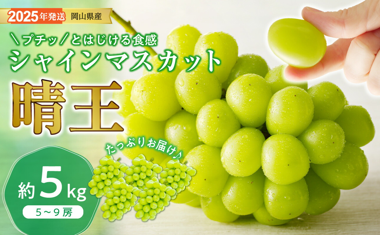 ふるさと納税】シャインマスカット 晴王 秀品 大房 約5kg 5-9房 岡山