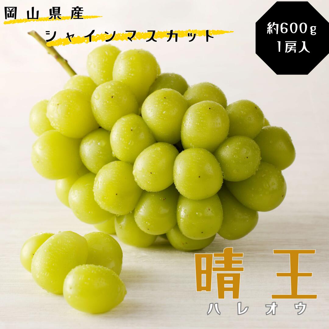 【ふるさと納税】シャインマスカット 晴王 秀品 約600g 1房 岡山県産 ぶどう御中元 ギフト 御礼 プレゼント 御礼 御祝 御供 果物 くだもの フルーツ　土-24