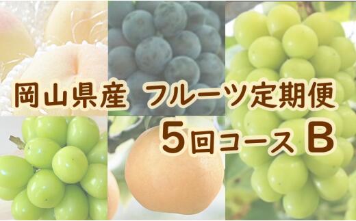 【ふるさと納税】岡山県産 フルーツ定期便 ５回コースＢ（山博）