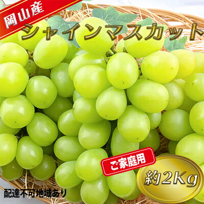 正規品 楽天市場 ふるさと納税 糖度抜群 ご家庭用 シャインマスカット 9月発送分 約2kg 配送不可 離島 果物類 ぶどう マスカット フルーツ 果物 お届け 21年9月上旬 21年9月下旬 岡山県里庄町 代引き手数料無料 Lexusoman Com