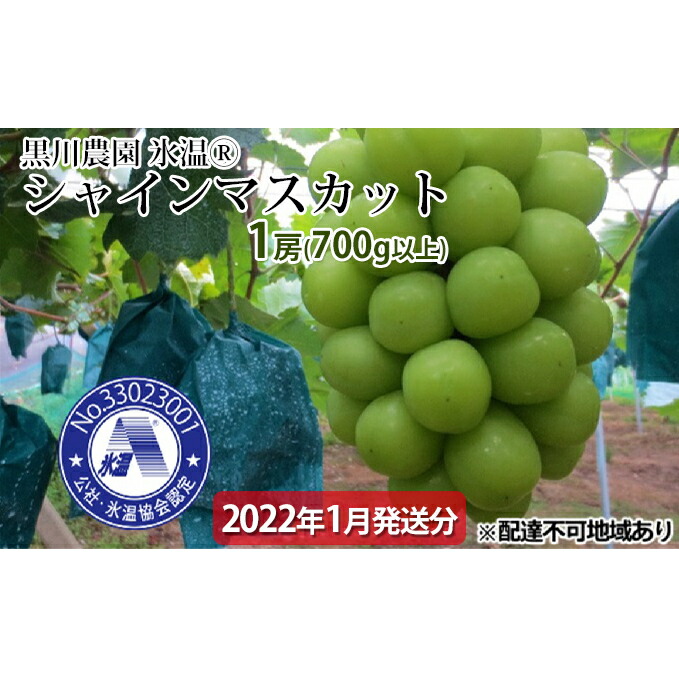 ふるさと納税 黒川農場 フラッペ温 書付ける銘柄 シャインマスカット 1房 700g以上 2022年代1月あかり差し出し時間 果物手合い ぶどう マスカット フルーツ シャインマスカット お届け 2022年1月上旬 2022年1月下旬 Easybuildgroup Co Za