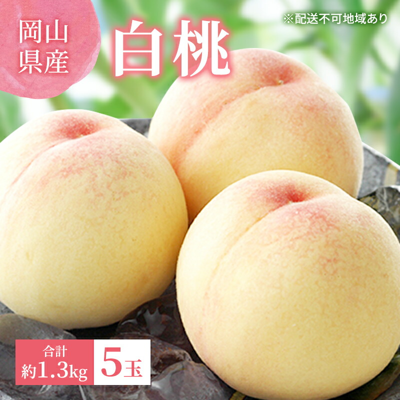 【ふるさと納税】桃 2025年 先行予約 白桃 5玉 合計約1.3kg 岡山県 フルーツ もも 桃 モモ ピーチ 人気 新鮮 フルーツ 桃 デザート フルーツ もも 桃 モモ ギフト くだもの 桃 もも 果物 フルーツ 桃 もも 　お届け：2025年7月上旬～2025年7月下旬