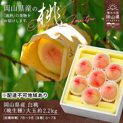 【ふるさと納税】桃 2025年 先行予約 白桃 晩生種 大玉 約2.2kg 6～7玉 岡山県 フルーツ もも 桃 モモ ピーチ 人気 新鮮 フルーツ 桃 デザート フルーツ もも 桃 モモ ギフト くだもの 桃 もも 果物 フルーツ 桃 もも 　お届け：2025年8月上旬～2025年9月中旬