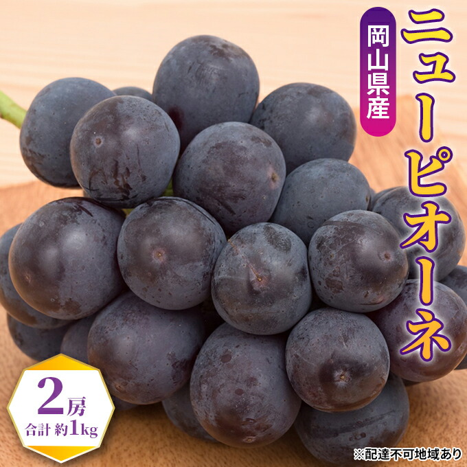 【ふるさと納税】ぶどう 2026年 先行予約 ニュー ピオーネ 2房（合計約1kg） ブドウ 葡萄 岡山県産 国産 フルーツ 果物 ギフト ブドウ 　お届け：2026年9月上旬～2026年9月下旬｜岡山県里庄町